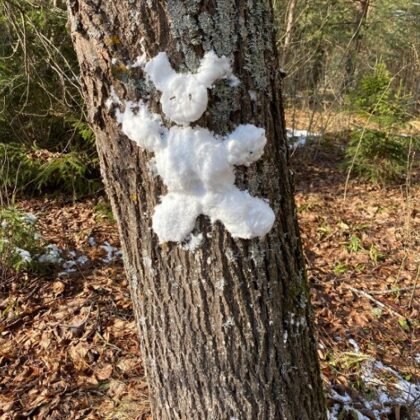 1.a Evelīna Barkāne