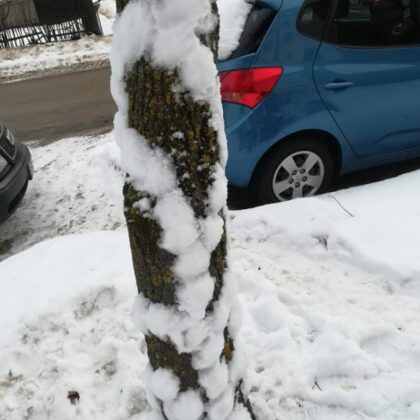 1.a Gintars Leščinskis