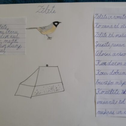 1.d klase Adrians Čudars