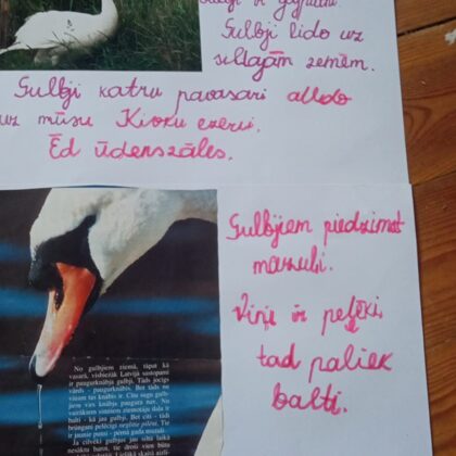 1.d klase Laura Dambe