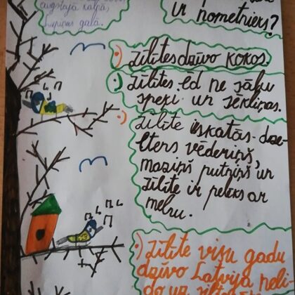 1.d klase Evelīna Gudkova