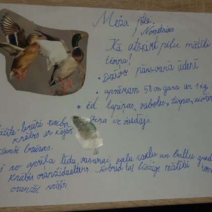 1.d klase Ralfs Kalniņš