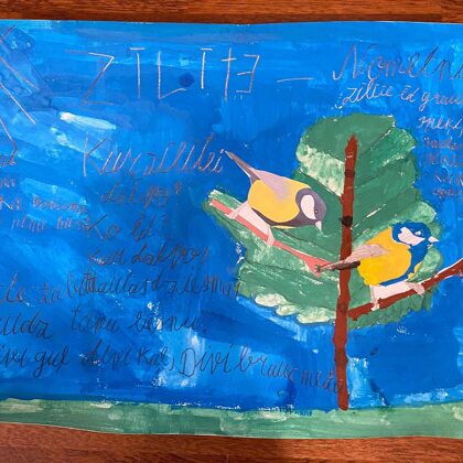 1.d klase Paula Pontaga