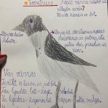 1.d klase Ance Pavlovska