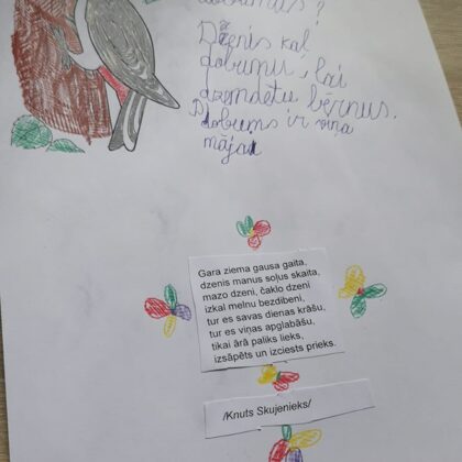 1.d klase Ervīns Purviņš