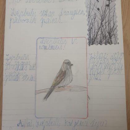 1.d klase Matīss Reiniks