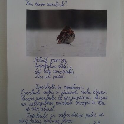 1.d klase Kalvis Viļums