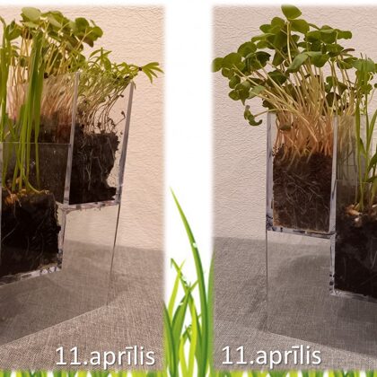 1.a Jānis Emīls Pleikšnis