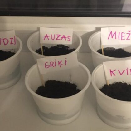 1.a Evelīna Barkāne