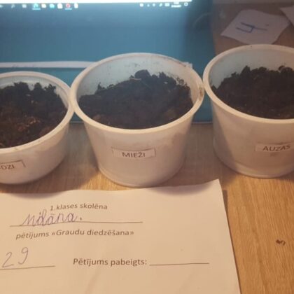 1.a Milāna Gorbunova