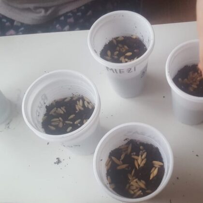 1.a Valērija Zubkova