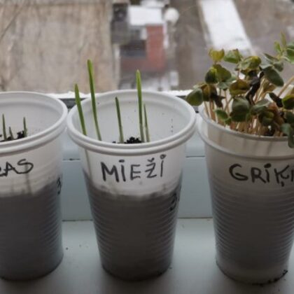 1.a Valērija Zubkova