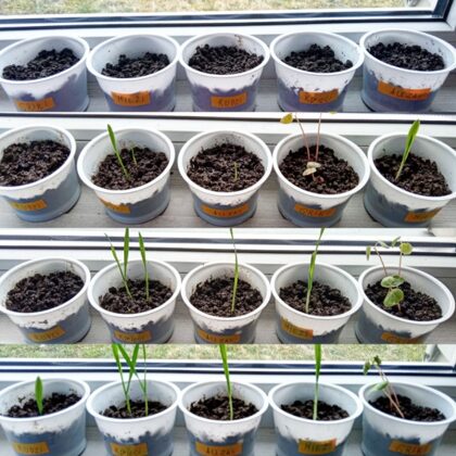 1.a Rodrigo Tiltiņš