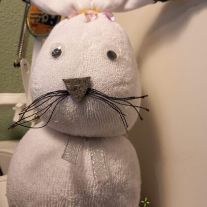 1.a Jānis Emīls Pleikšnis