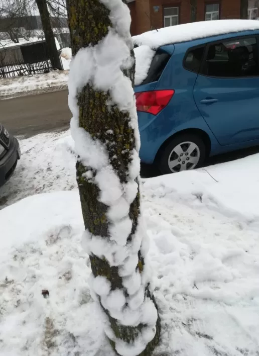 1.a Gintars Leščinskis