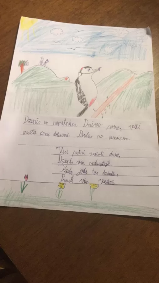 1.d klase Anna Ušpele