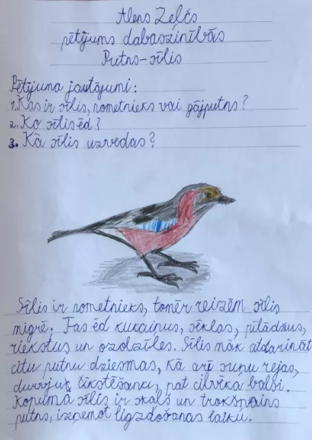 1.a Alens Zeļčs