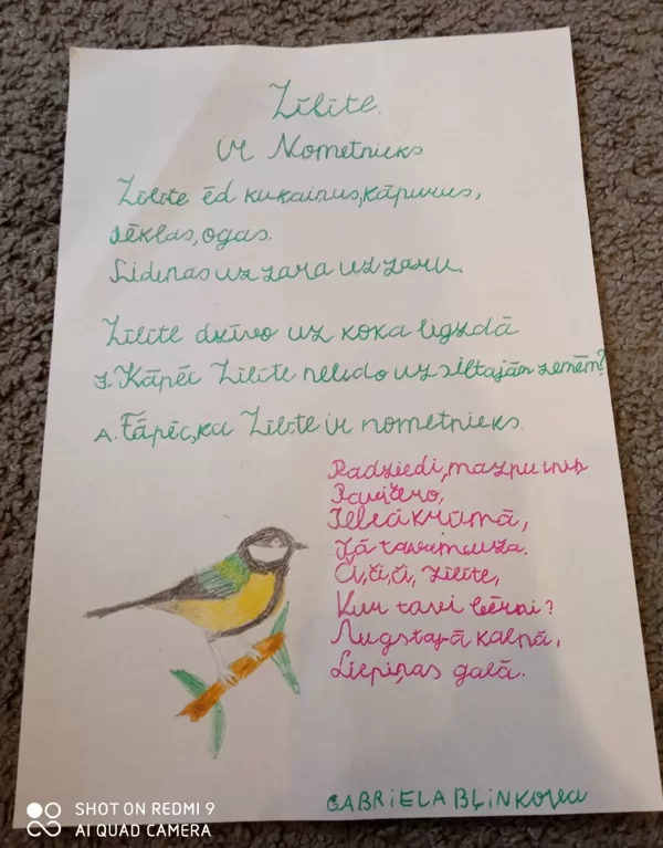 1.d klase Gabriela Bļinkova