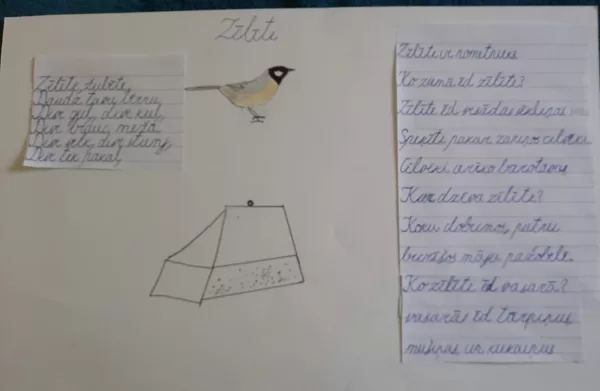 1.d klase Adrians Čudars