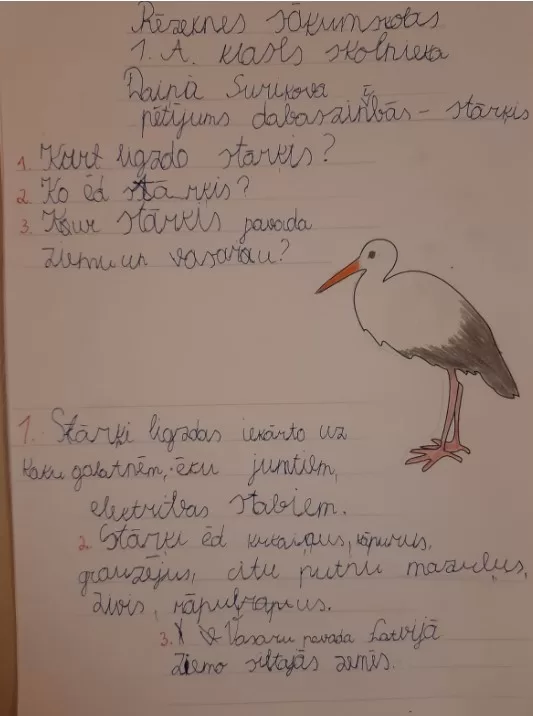 1.a Dainis Surikovs