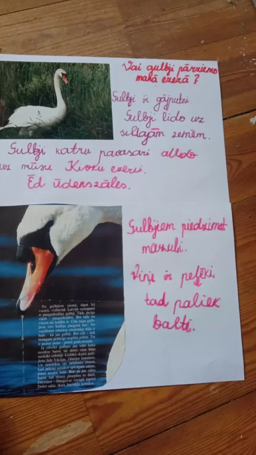 1.d klase Laura Dambe