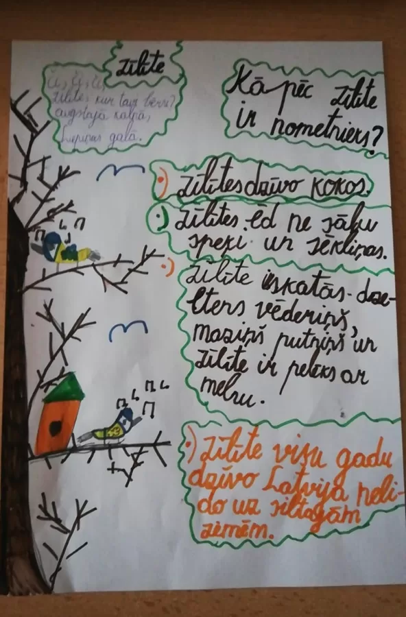 1.d klase Evelīna Gudkova