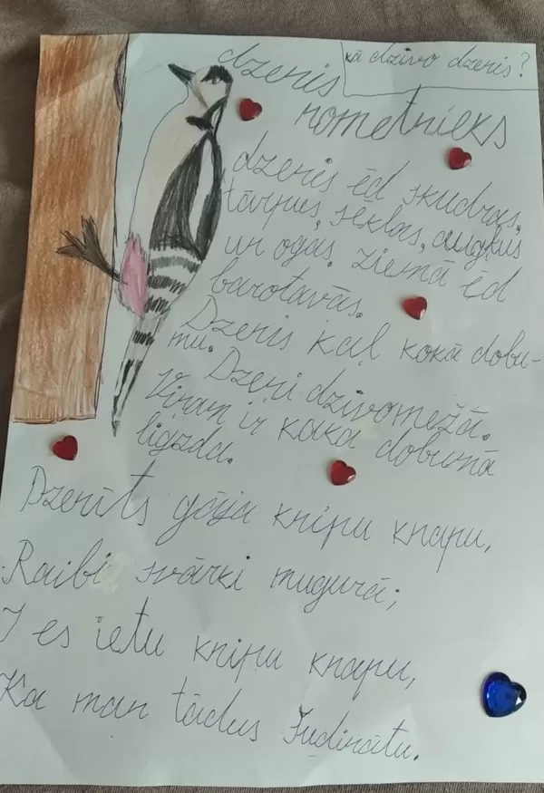 1.d klase Sintija Jakušāne