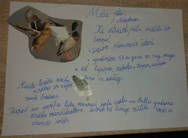 1.d klase Ralfs Kalniņš