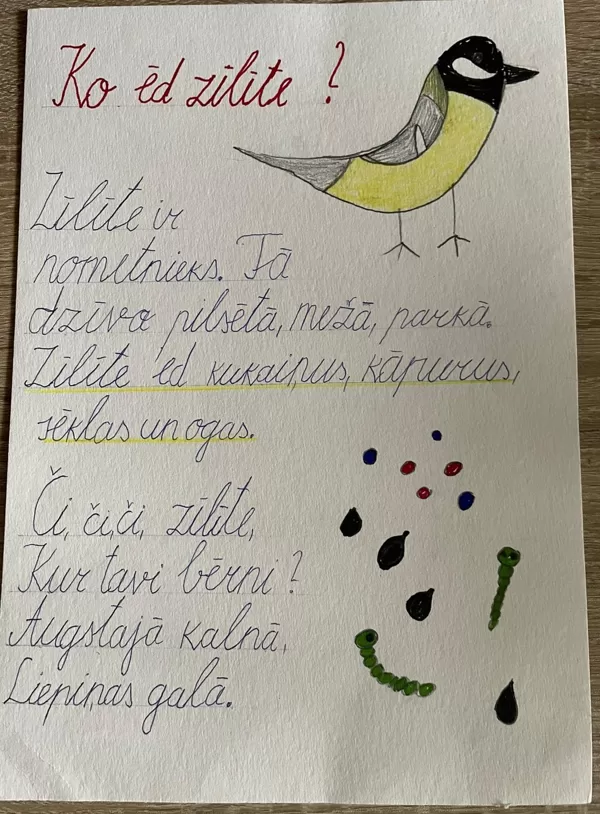 1.d klase Andris Latiševs-Čudars