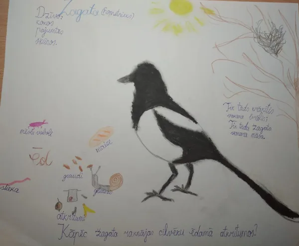 1.d klase Normunds Opolais