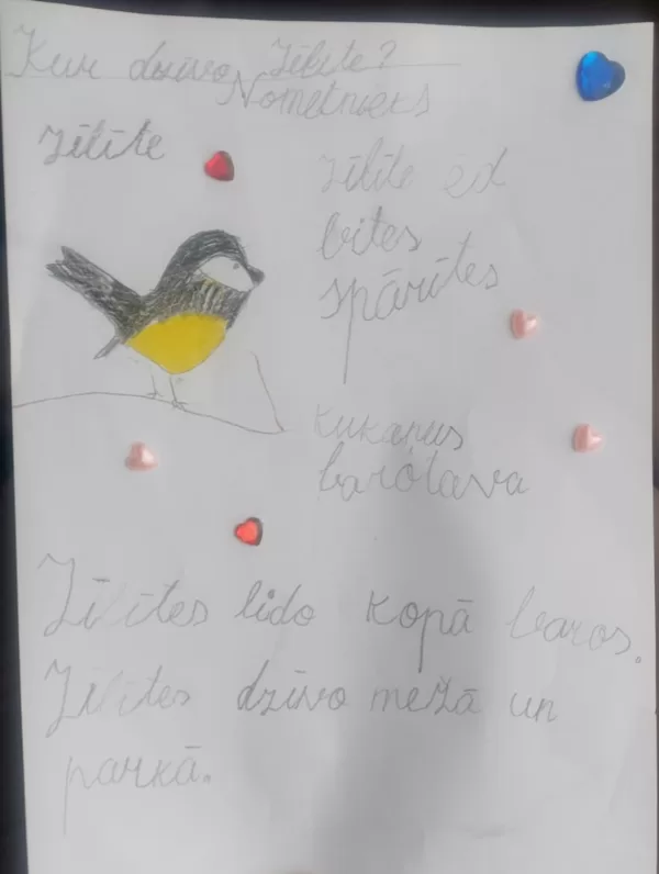 1.d klase Niloka Ovsjankina