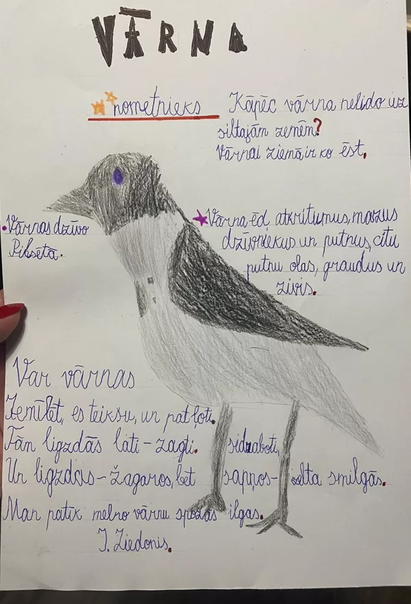 1.d klase Ance Pavlovska