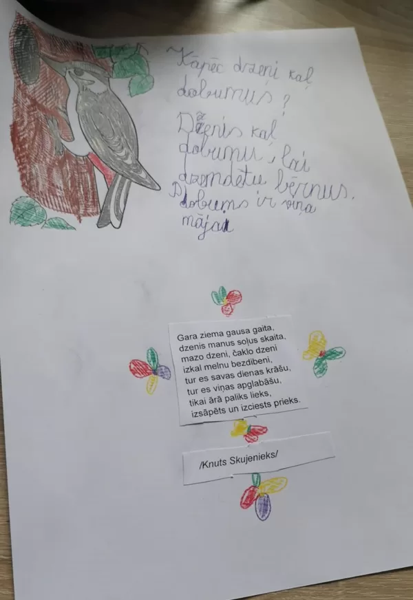 1.d klase Ervīns Purviņš