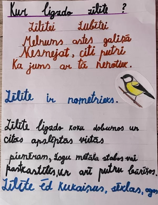 1.d klase Emīlija Raudoviča