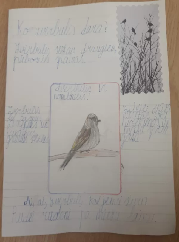 1.d klase Matīss Reiniks
