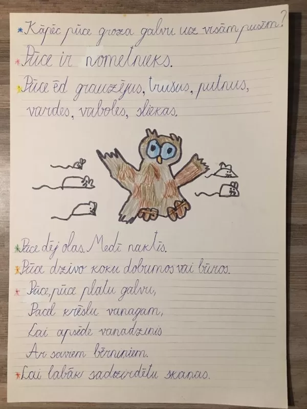1.d klase Luīze Svilāne