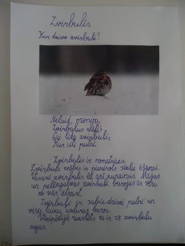 1.d klase Kalvis Viļums