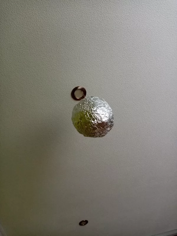 1.d klase Matīss Reiniks