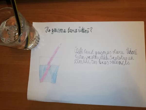 Artūrs Voronovs