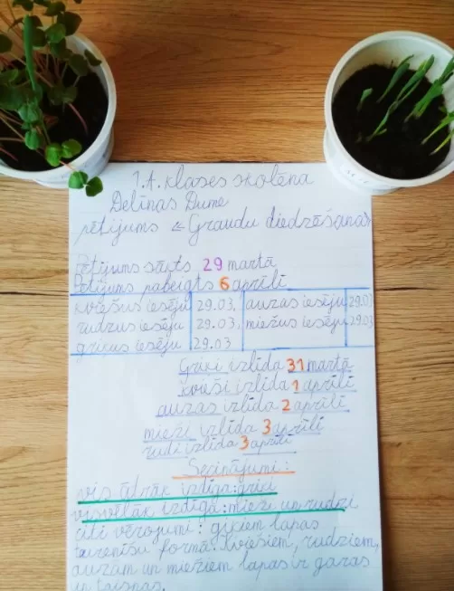 1.a Delīna Dume