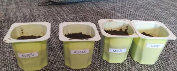 1.a Ruslans Zeļčs