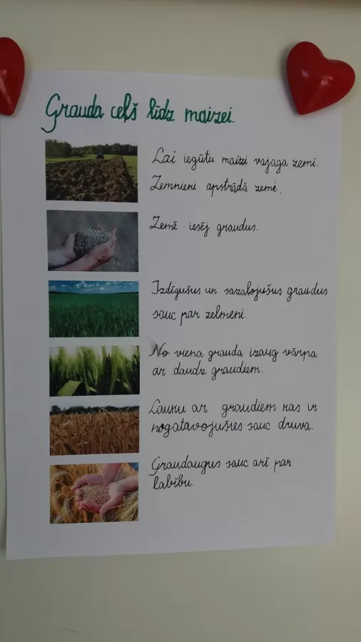 1.d Kalvis Viļums