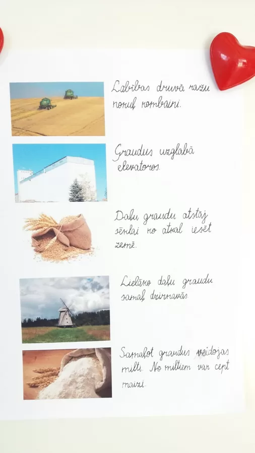 1.d Kalvis Viļums