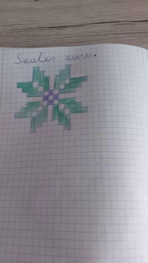 1.d Emīlija Raudoviča