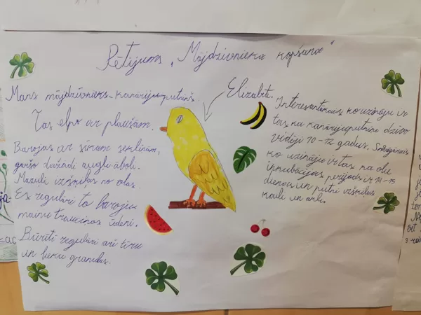 2.a Katrīna Ivsiņa