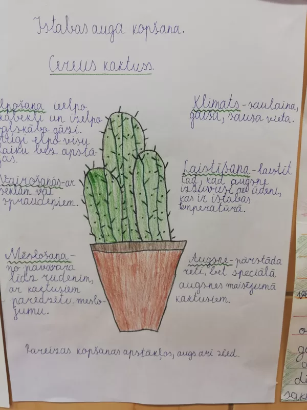 2.a Edvards Mazūrs