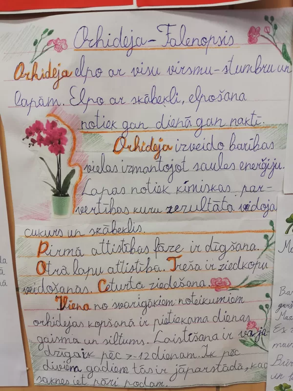 2.a Delīna Dume