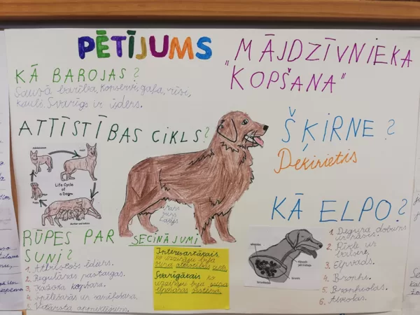 2.a Gabriels Sarkans