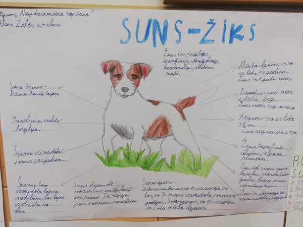 2.a Alens Zeļčs